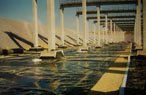 Geomembrane